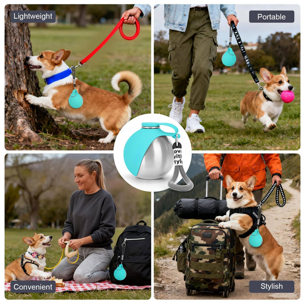 Clero owala water bottle pet accessory shown with corgi dogs during outdoor activities for lightweight, portable, convenient, and stylish use